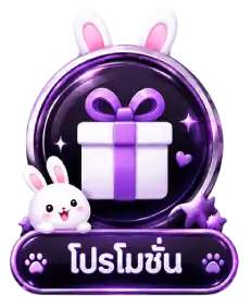 โปรโมชั่น4